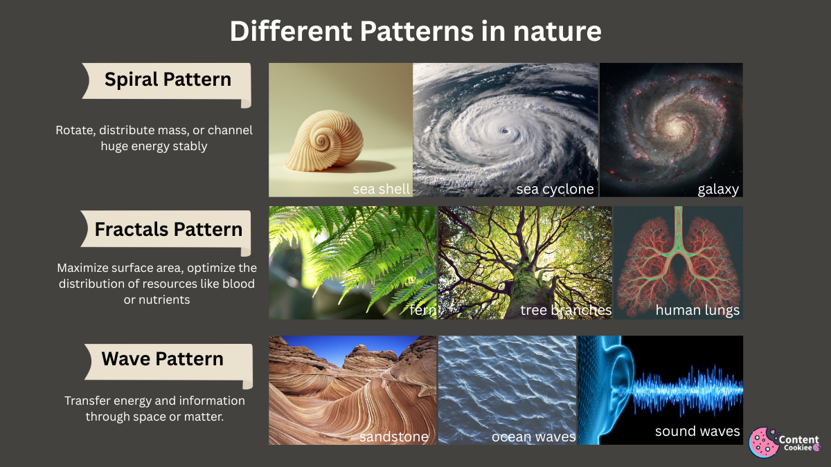 Different patterns observed in universe - spiral, fractals, wave - pattern examples