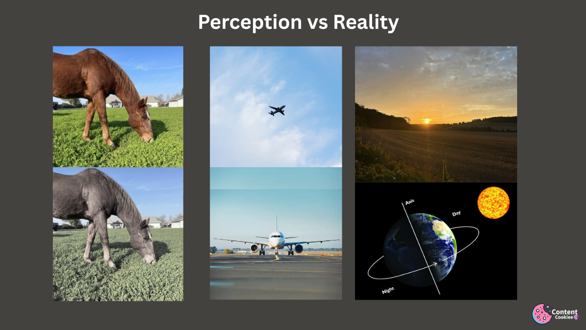 Brahma Satya: The Physical Reality We See Around Us. Perception vs Reality