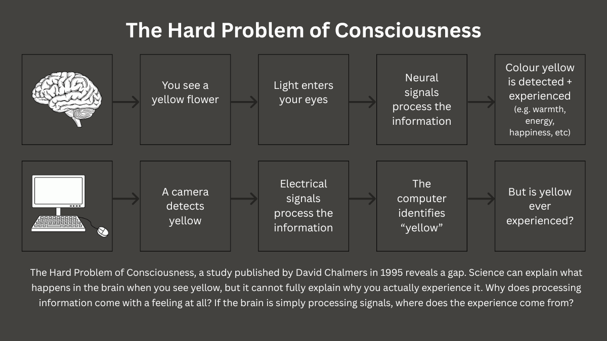 The Hard Problem of Consciousness Example Image